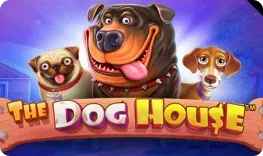 Heats Casino – The Dog House
